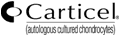 link to the Carticel website