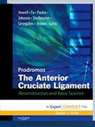 The Anterior Cruciate Ligament