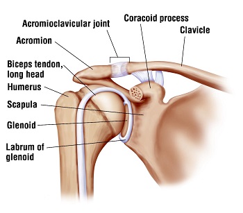 AC Joint Separation